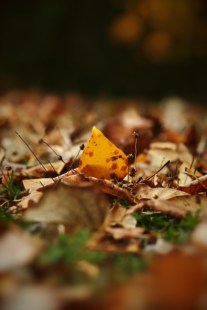 因支持巴勒斯坦被美因茨解约，艾尔-加齐最终判决胜诉获赔